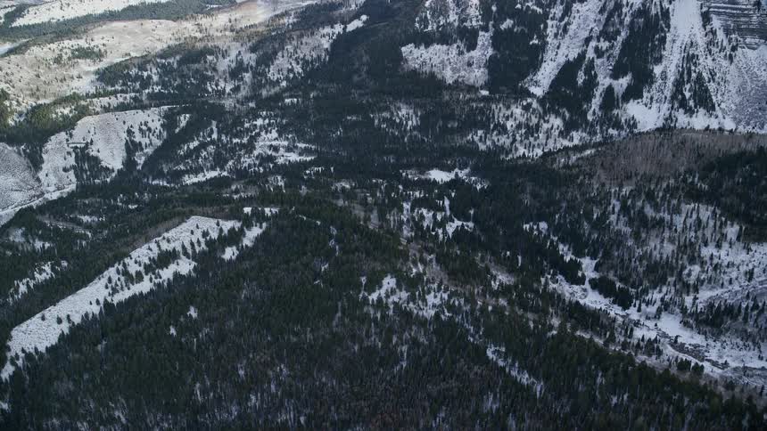 Panorama of mountains and peaks with conifers covered in snow