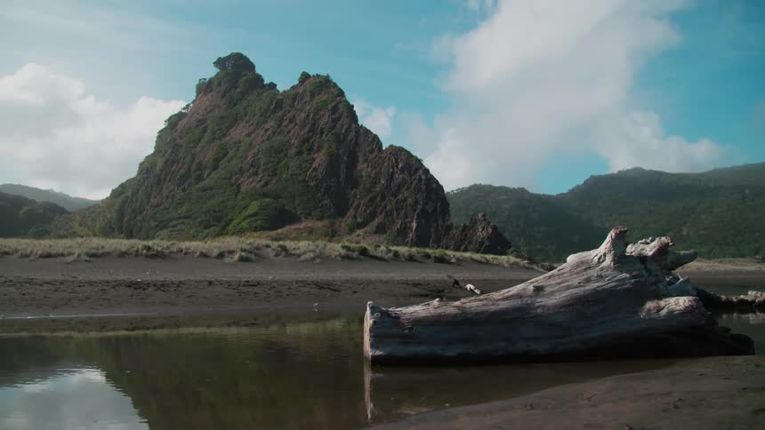 Driftwood resting in shallow with jagged mountain slopes covered in green vegetation on a sunny day under a blue sky with white clouds