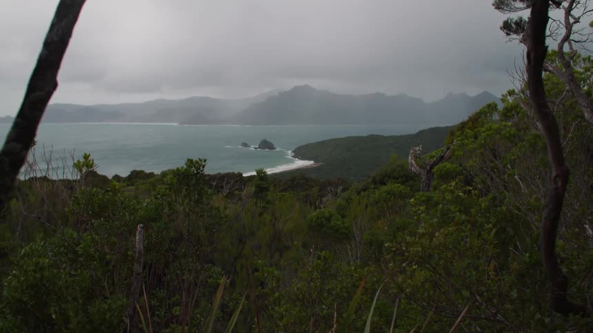 Beach in the distance surrounded by hills and forests on a cloudy day