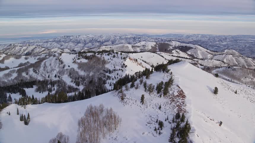 Aerial view of a majestic snowcovered mountain stands tall its slopes adorned with a tapestry of trees