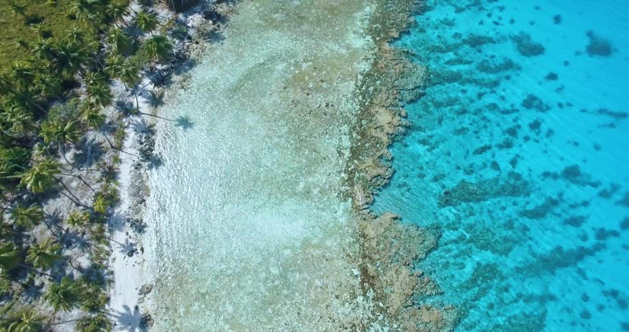 Aerial of clear blue polynesian coastline