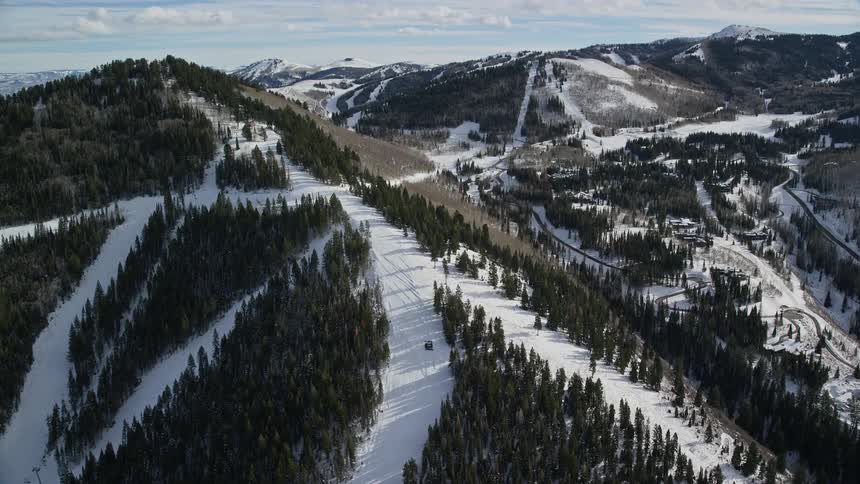 Aerial panorama of a mountain range with snow and vast coniferous forestation
