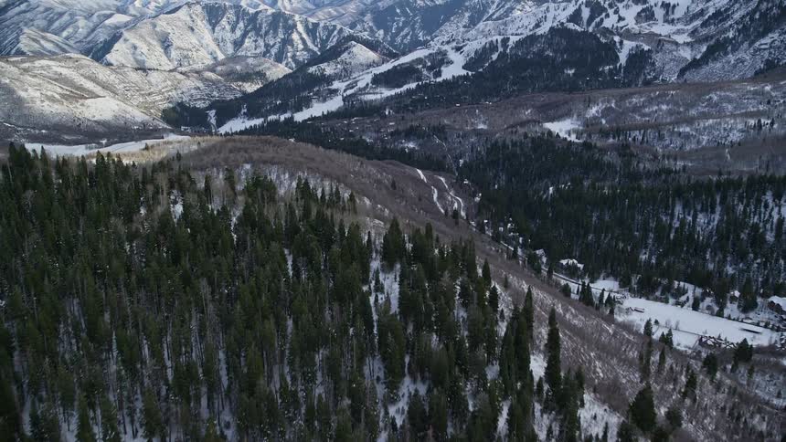 Aerial panorama of a landscape with snowcovered mountains and forests