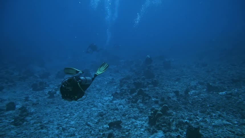 Divers exploring the ocean floor