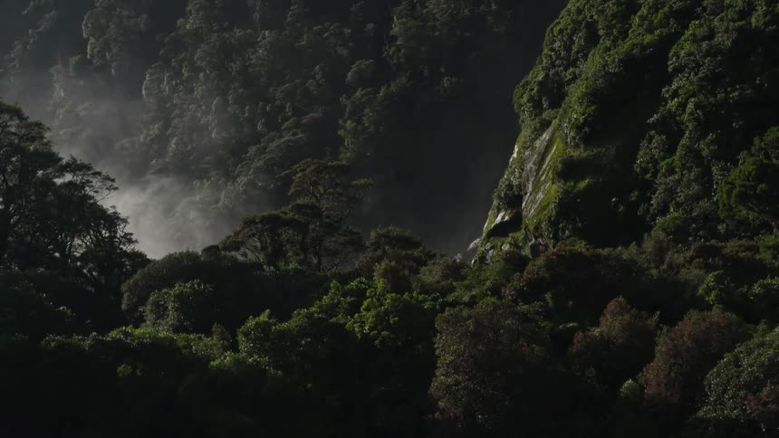 Aerial panorama of a forest beneath the mountains