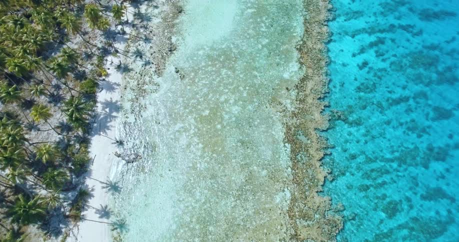Aerial over palm tree lined coastline with white sand a clear bright blue water on a bright day