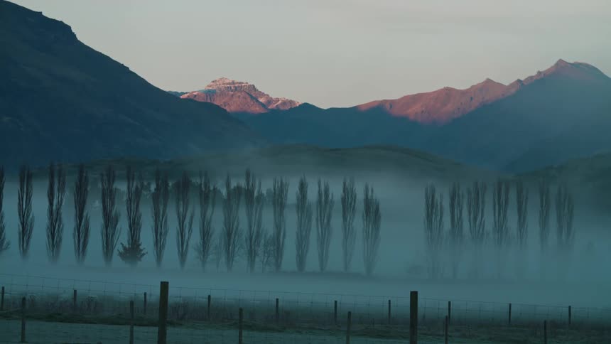 A region close to mountains with plants and a mysterious fog close to fences
