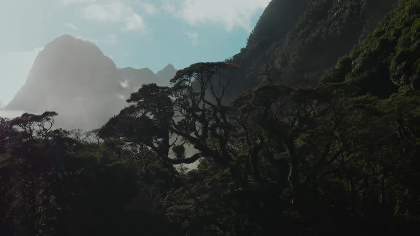 Panorama of a mountain with a forest and splashes of water from a waterfall