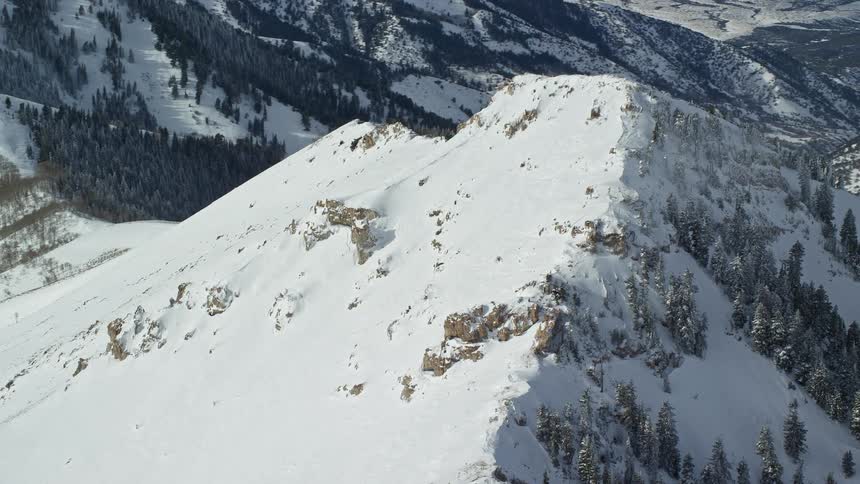 Trees grow on the side of a snow covered mountain with mountains in the distance