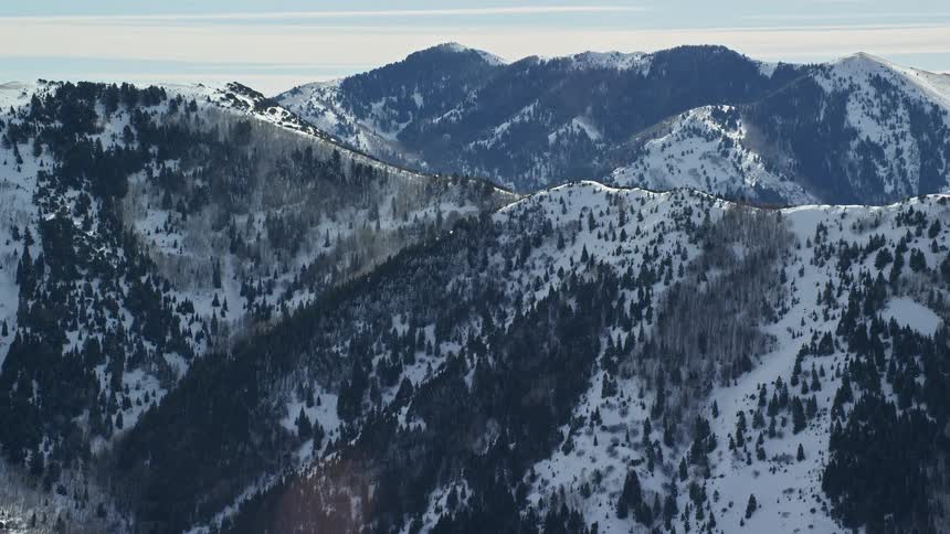 Curved flat top edge of a steep tree dotted snow covered mountain on a bright day with a bright white sky and mountain peaks in the background