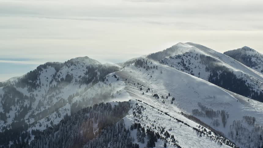 The peak of a junction of mountains with some vegetation and a lot of snow on the ground