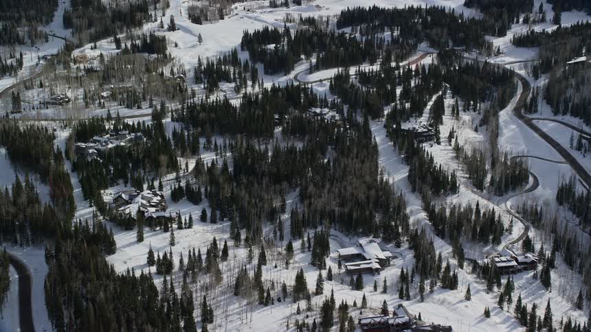 Aerial view of a snowcovered mountain with scattered pine trees all around