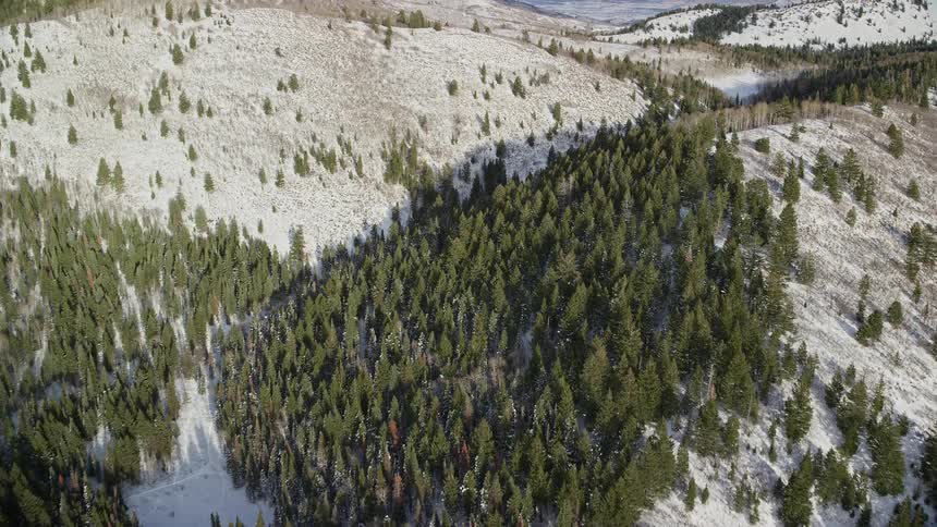 Aerial panorama of mountains and peaks with conifers covered in snow