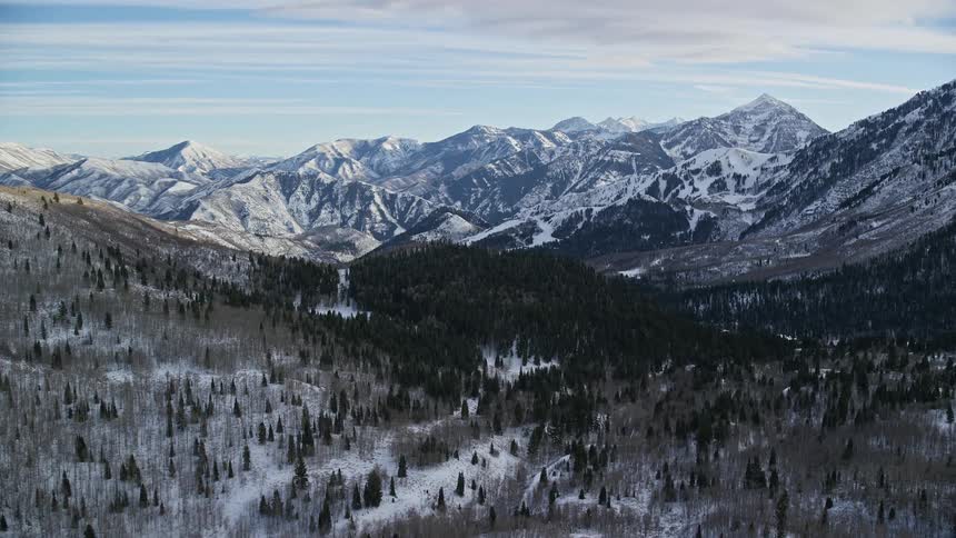Aerial view of a forest in the valley and distant mountain range