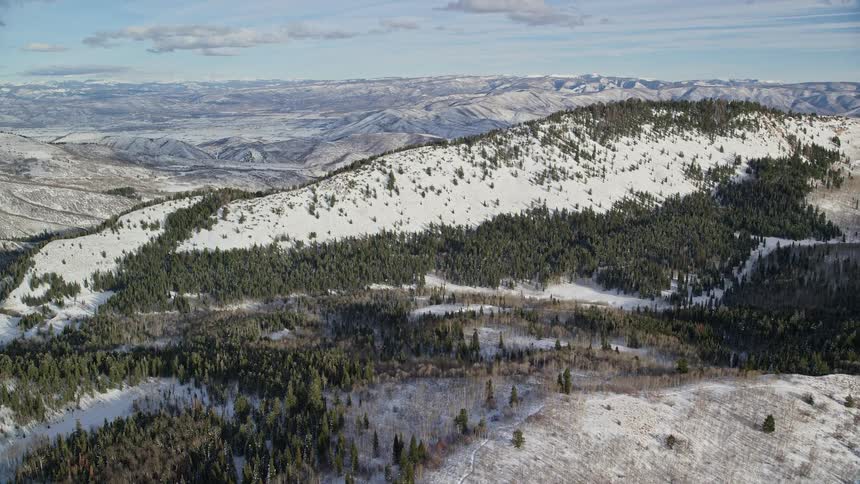 Aerial view of snowy mountains and forest