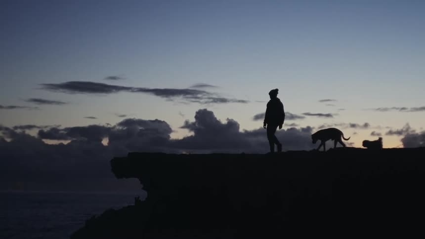 Silhouette of a person walking on top of a hill with their dogs