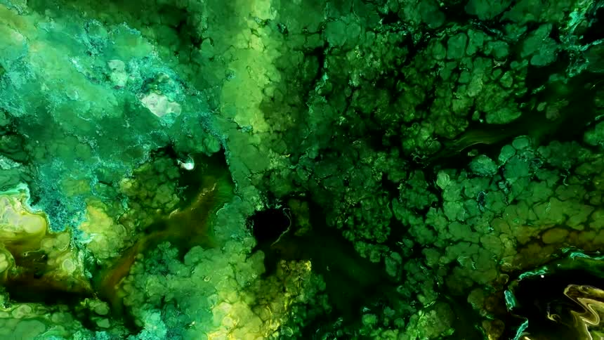 Green dense paint bubbling and blending in organic shapes