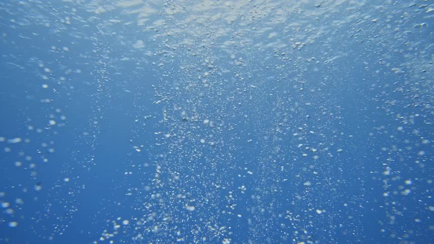 Bubbles rise to the surface of the water