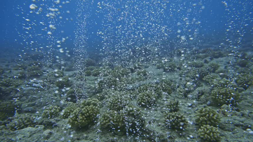 In the sea several bubbles rising above a reef