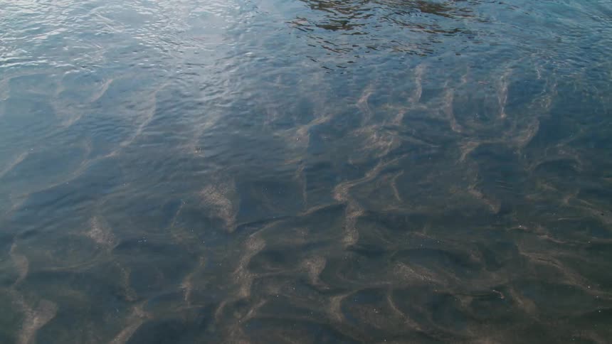 The sunlight is reflecting on the shallow water
