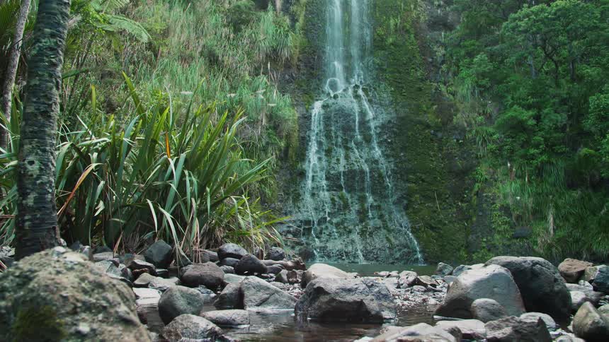 A waterfall is near the stream