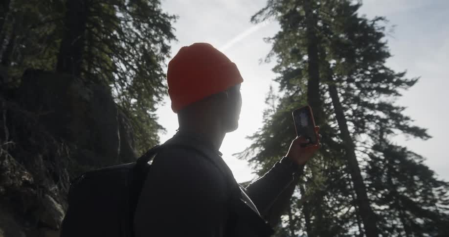 Man wearing a red hat and black backpack takes photo of tall trees in the forest