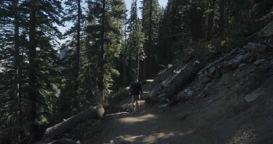 Male hiker wearing a backpack walks down a dirt track in the forest