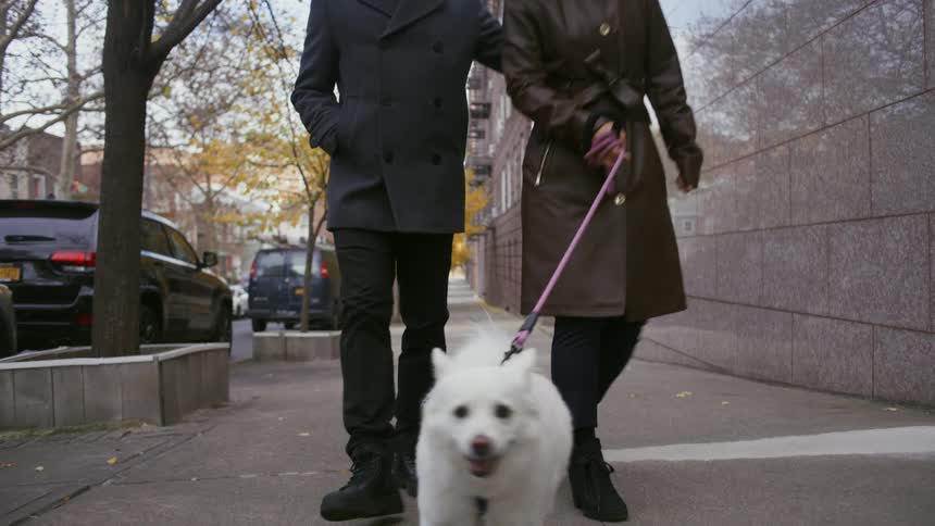 Man and woman talking while walking a dog on the sidewalk during the day