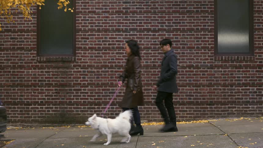 Man and woman walk a white dog down the street in the neighborhood