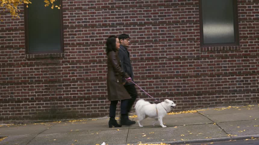 Couple walking on the sidewalk with their dog