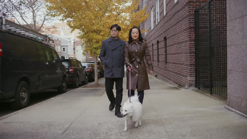 Man and woman walk white dog in the street
