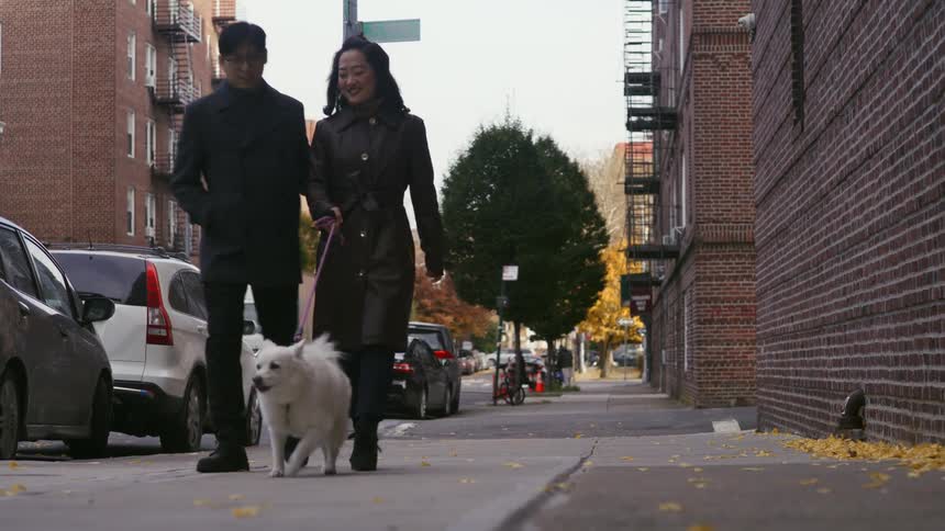 Couple walking their pet on the city
