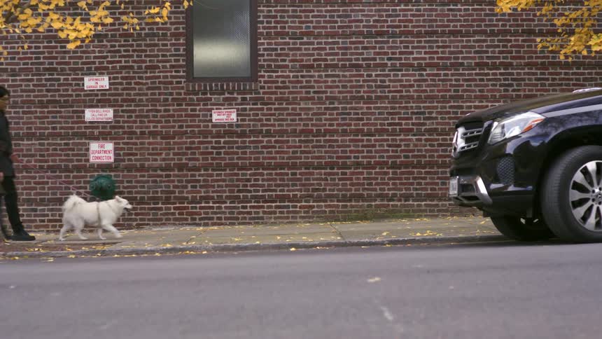 Two people with a dog on a leash walking on a sidewalk