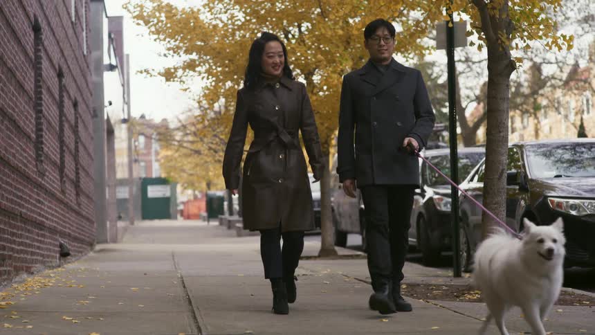 A man and a woman walk a dog around the neighborhood during the day