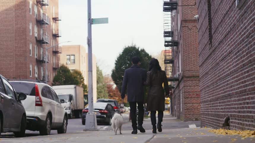A man and a woman walk a white dog down the street in the city