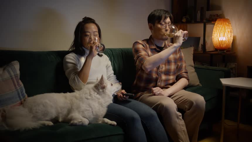 Man bringing a drink to his wife sitting on the couch with their dog he sits down and they both toast while watching tv