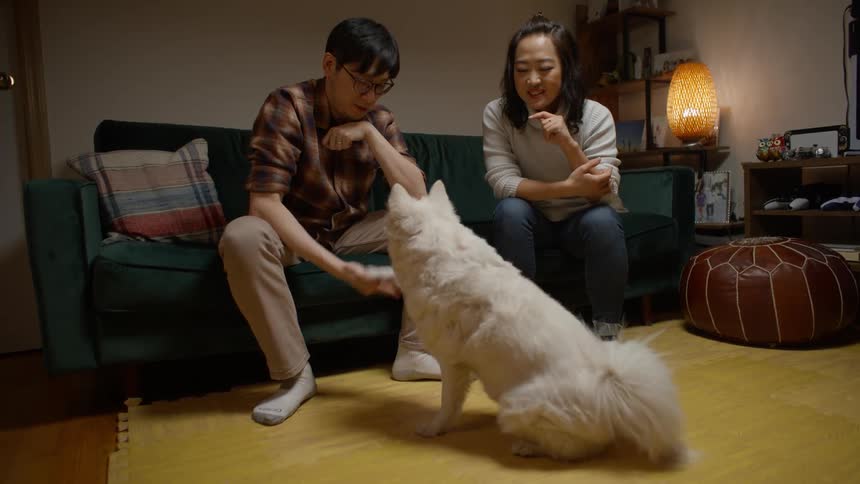 A man and a woman training their dog in the living room