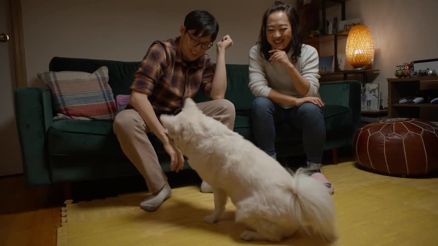 Woman sits on couch watching man play with dog