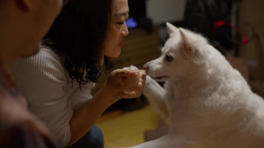 A woman is sitting down and playing with a dog on the floor as a man watches both and smiles