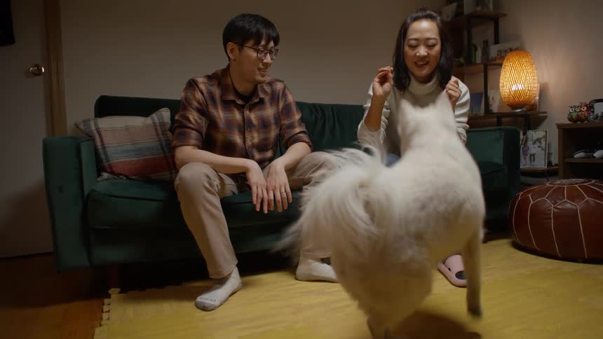 Couple sitting on the couch with the woman giving treats and training the dog to follow her commands