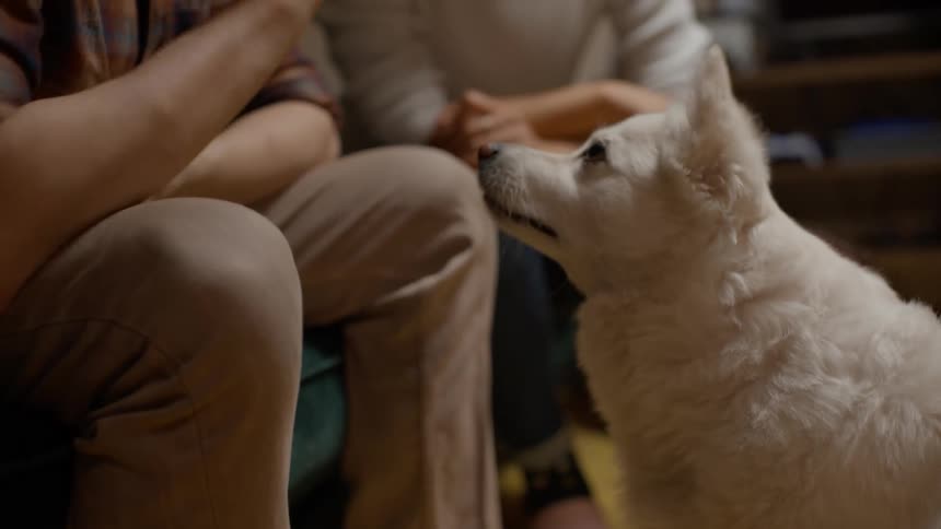 A dog receives a reward for obeying its owners commands