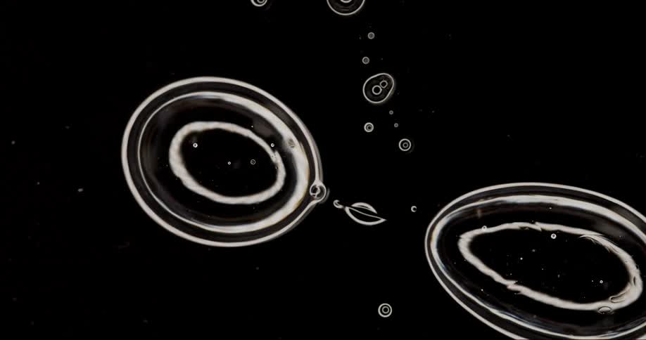 Abstract liquid water bubbles separating in slow motion