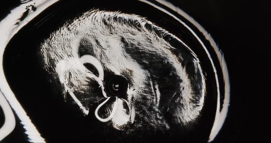 A dense and abstract liquid in extreme closeup moving slowly