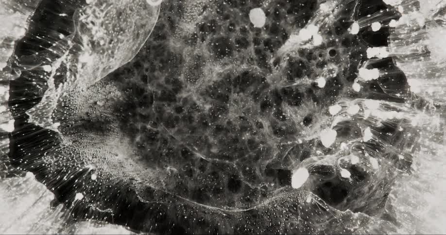 Microscopic view of an abstract dense and liquid substance in slow motion