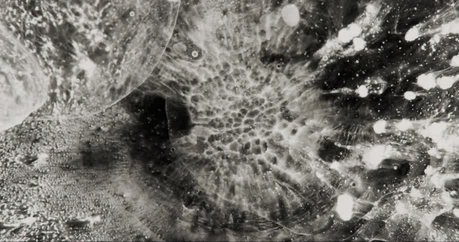 Extreme close up on expanding dense liquid