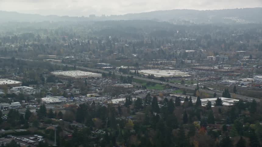 Aerial panorama of an urban city amidst trees on a morning