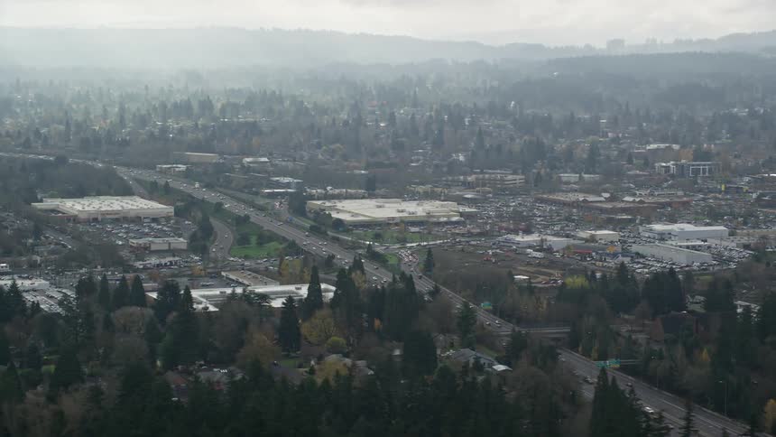 Aerial panorama of an urban city with extensive tree vegetation