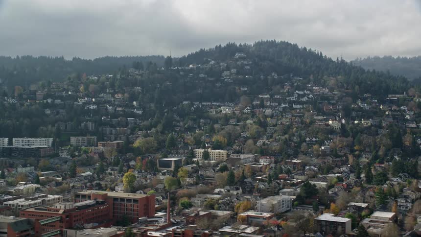 Aerial view of suburban area in the city
