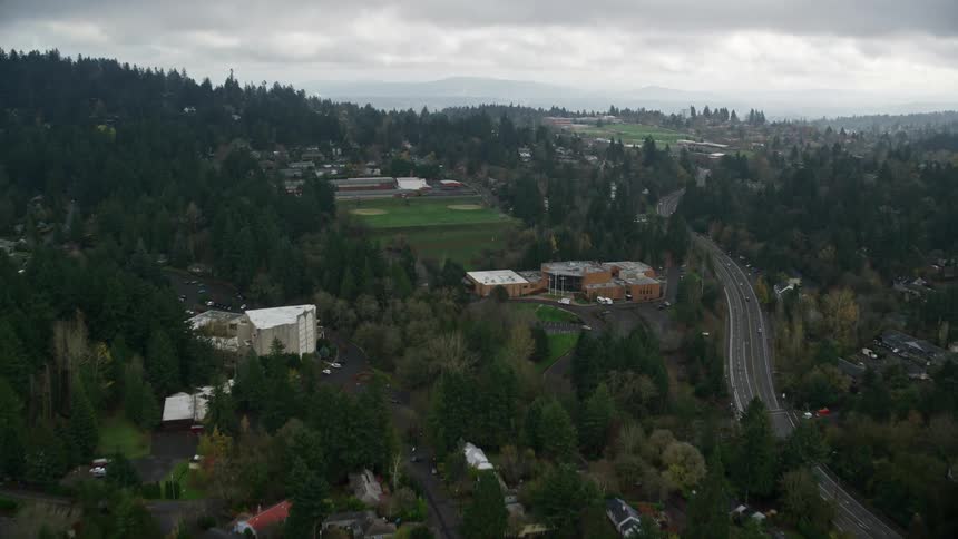 A road passing through a sub urban town with trees everywhere