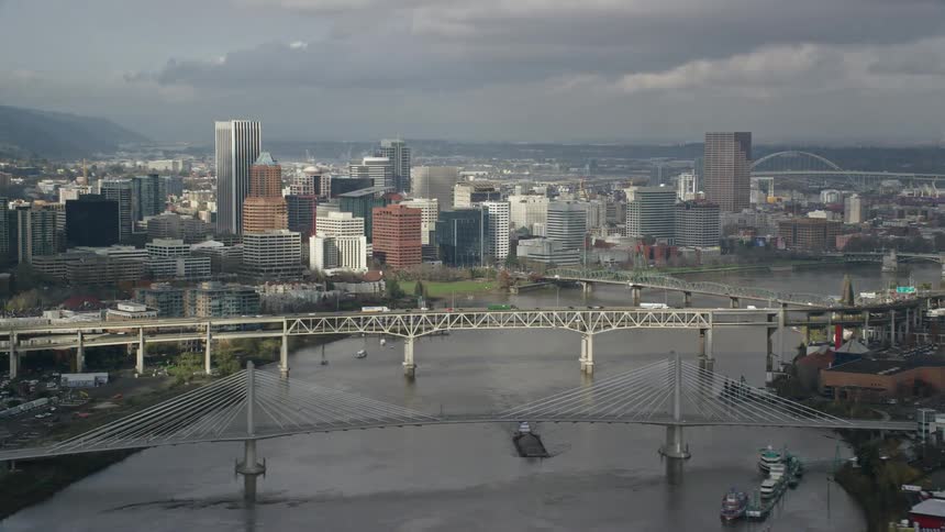 Panorama of a seaside metropolis with bridges on a cloudy day